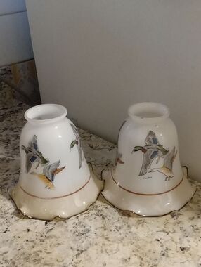 Glass Duck Motif Lamp Globe Pair